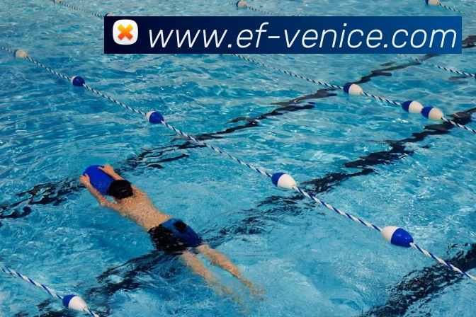 威尼斯人娱乐官网APP 封面图